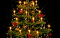 L’Albero di Natale “alternativo”