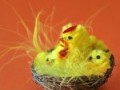 Lavoretti per Pasqua: pulcini in cestini